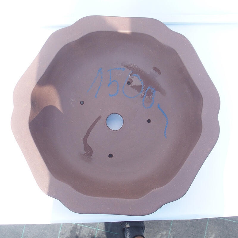 Bonsai tál 39 x 37 x 10 cm