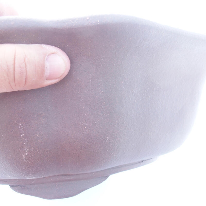 Bonsai tál 39 x 37 x 10 cm