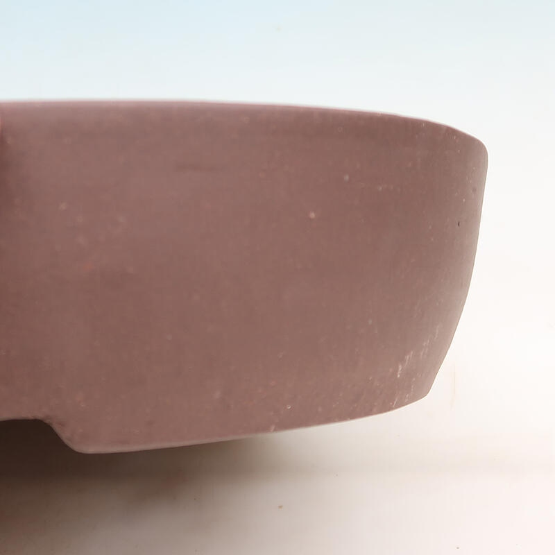 Bonsai tál 40 x 32 x 8 cm, barna