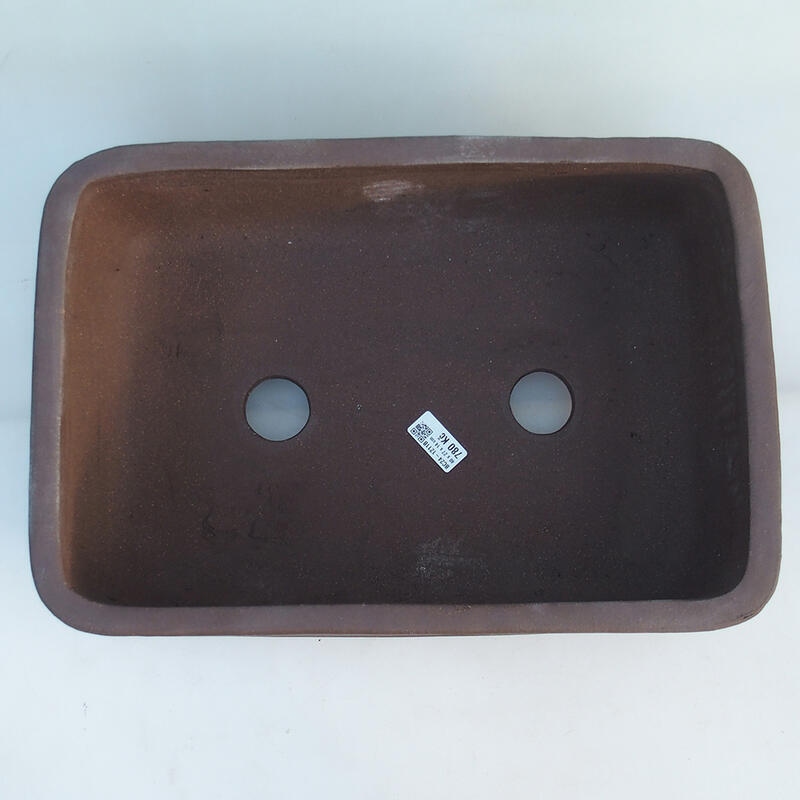 Bonsai tál 41,5 x 28 x 14 cm, barna színű, csak raklapos szállításra alkalmas