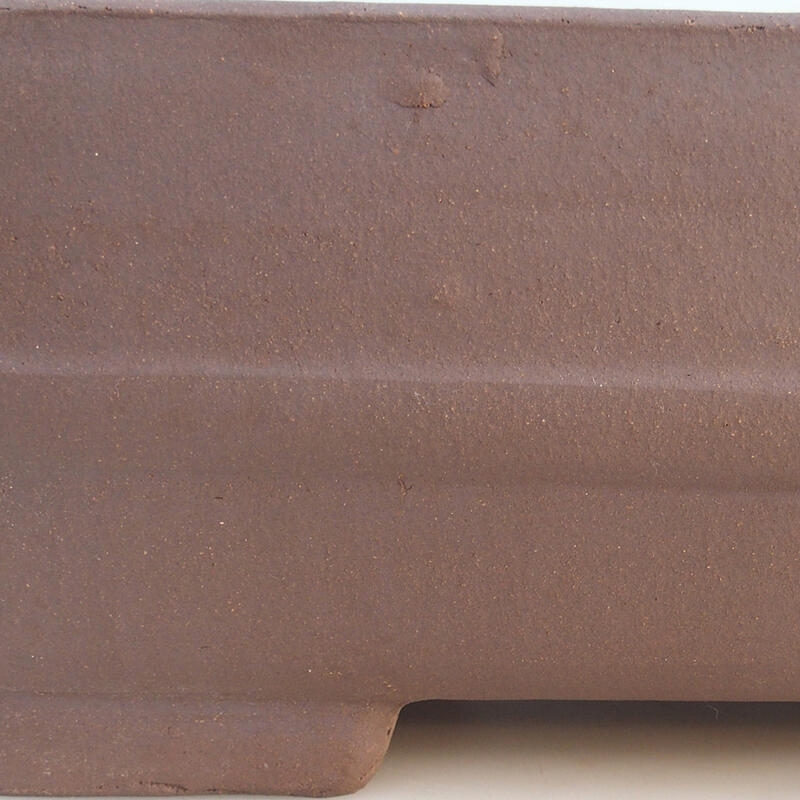 Bonsai tál 41,5 x 28 x 14 cm, barna színű, csak raklapos szállításra alkalmas