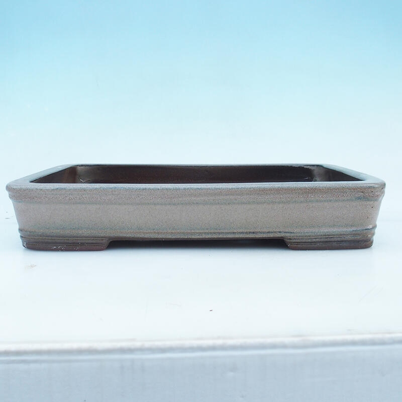Bonsai-tál 41 x 28 x 7 cm, bézs színű