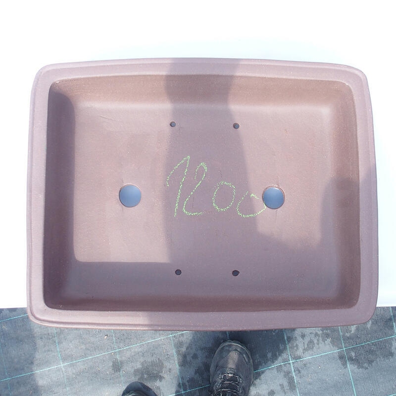 Bonsai tál 41 x 32 x 10 cm