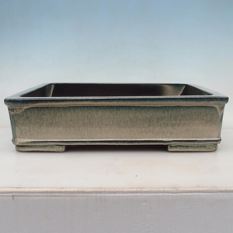 Bonsai tál 42 x 33 x 11 cm, kék-bézs színben - csak raklapos szállításra