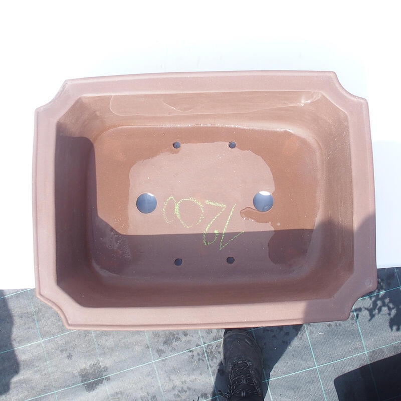 Bonsai tál 43 x 32 x 13 cm