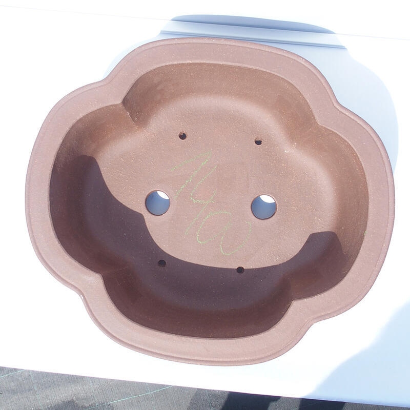 Bonsai tál 44 x 39 x 14 cm