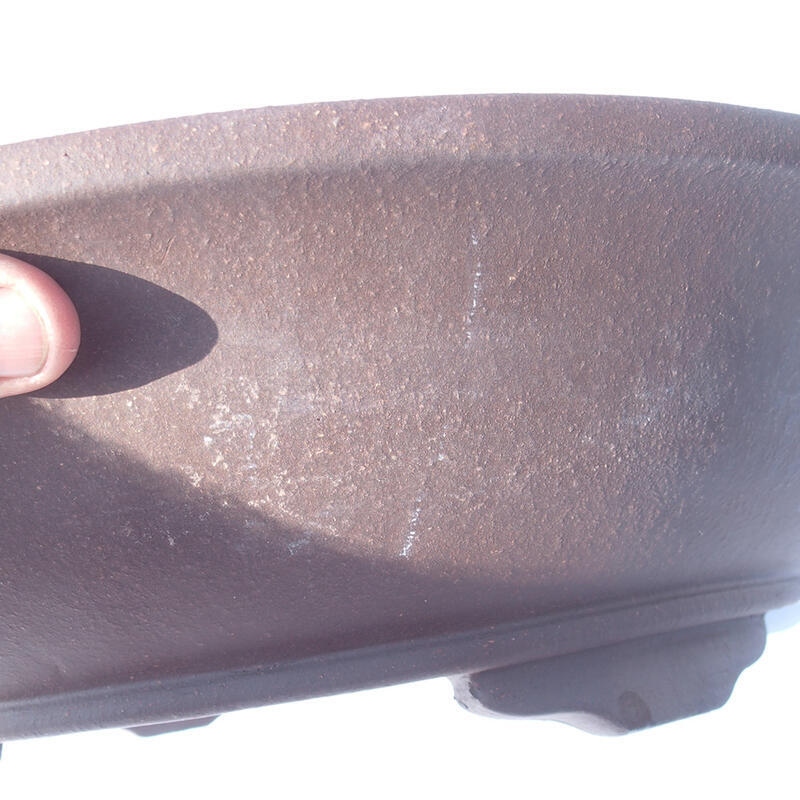 Bonsai tál 44 x 44 x 11 cm