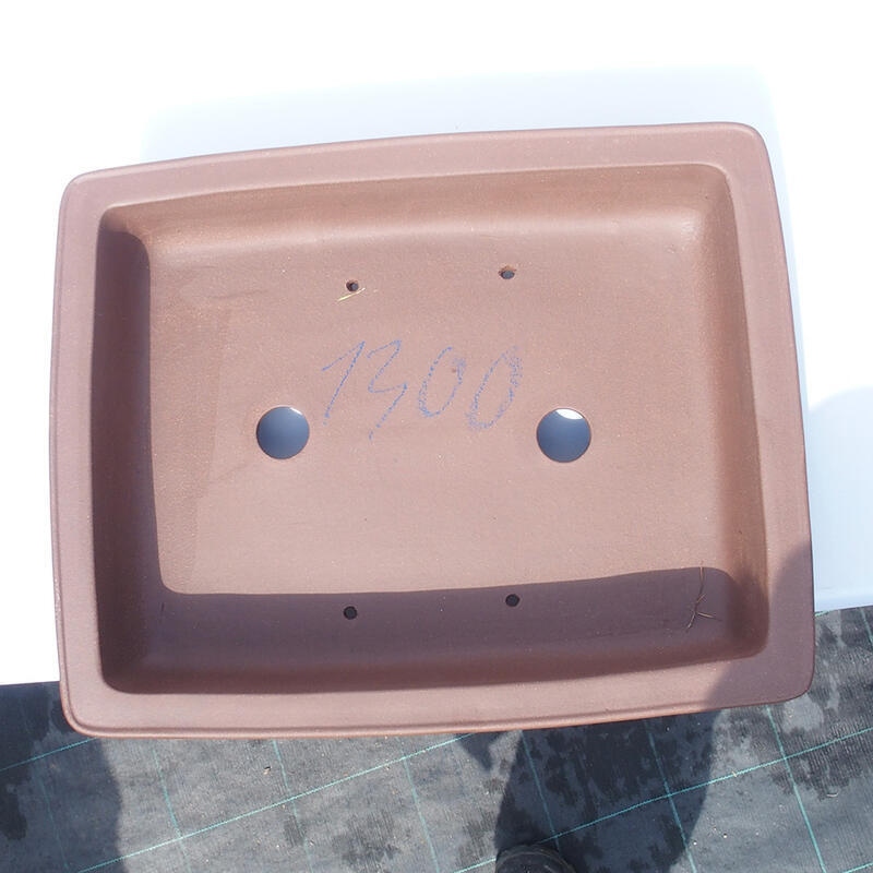 Bonsai tál 45 x 36 x 11 cm