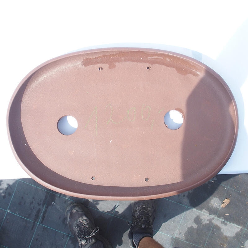 Bonsai tál 47 x 31 x 4 cm