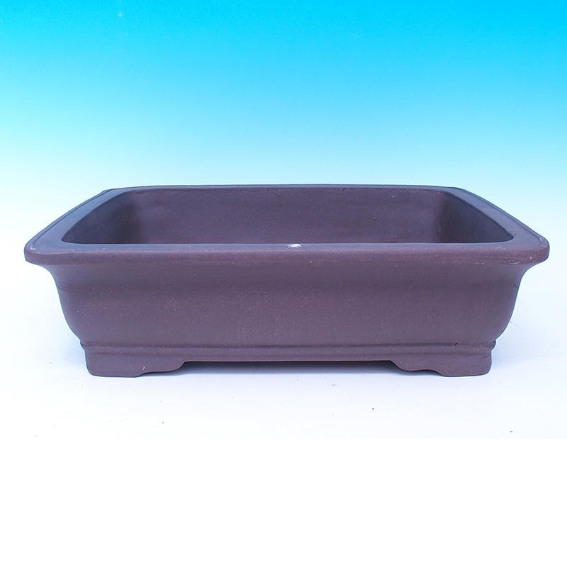 Bonsai tál 47 x 37 x 13 cm