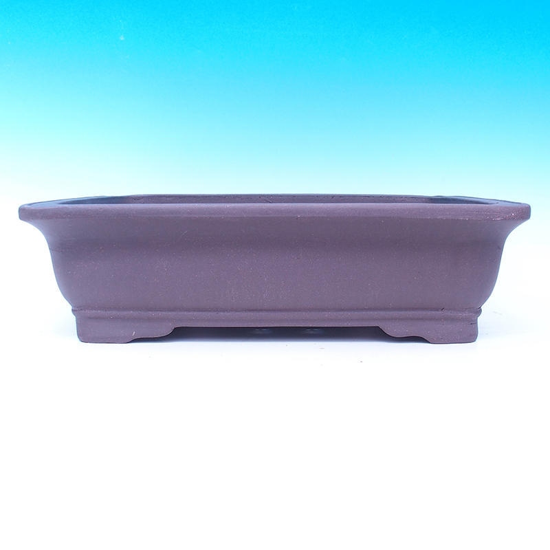 Bonsai tál 47 x 37 x 13 cm