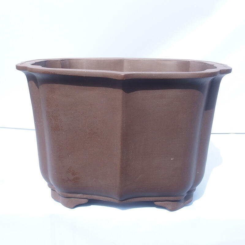 Bonsai tál 47 x 42 x 31 cm