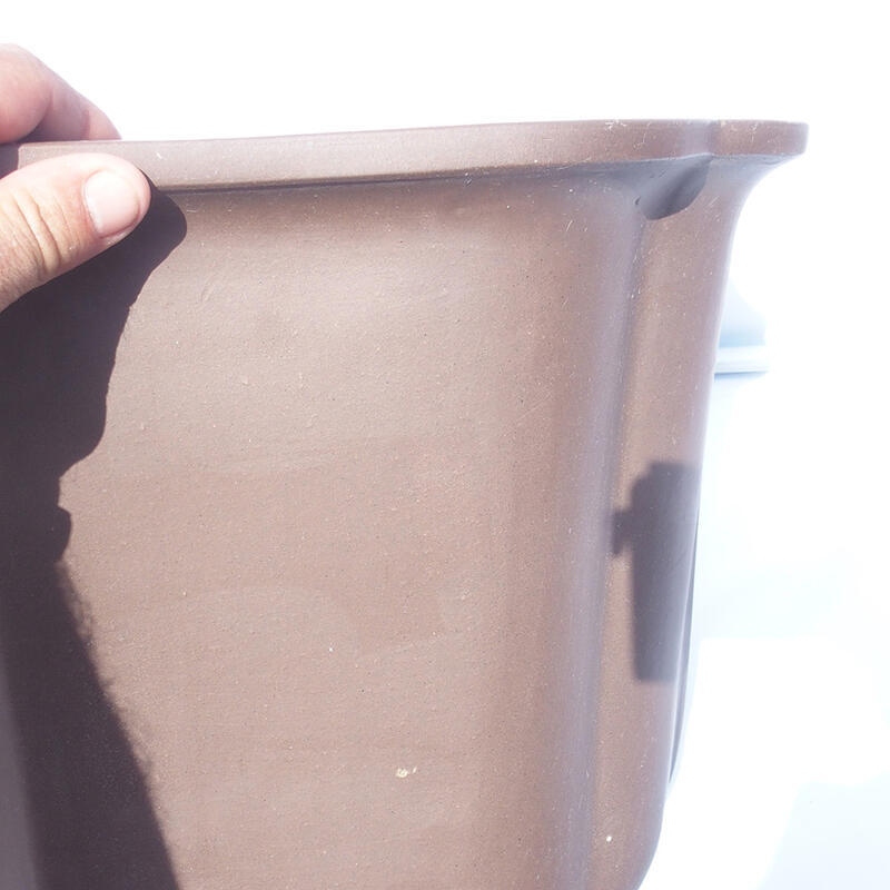 Bonsai tál 47 x 42 x 31 cm