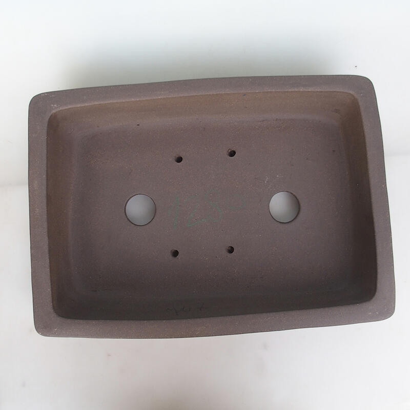 Bonsai tál 50 x 36 x 10 cm, natúr színben