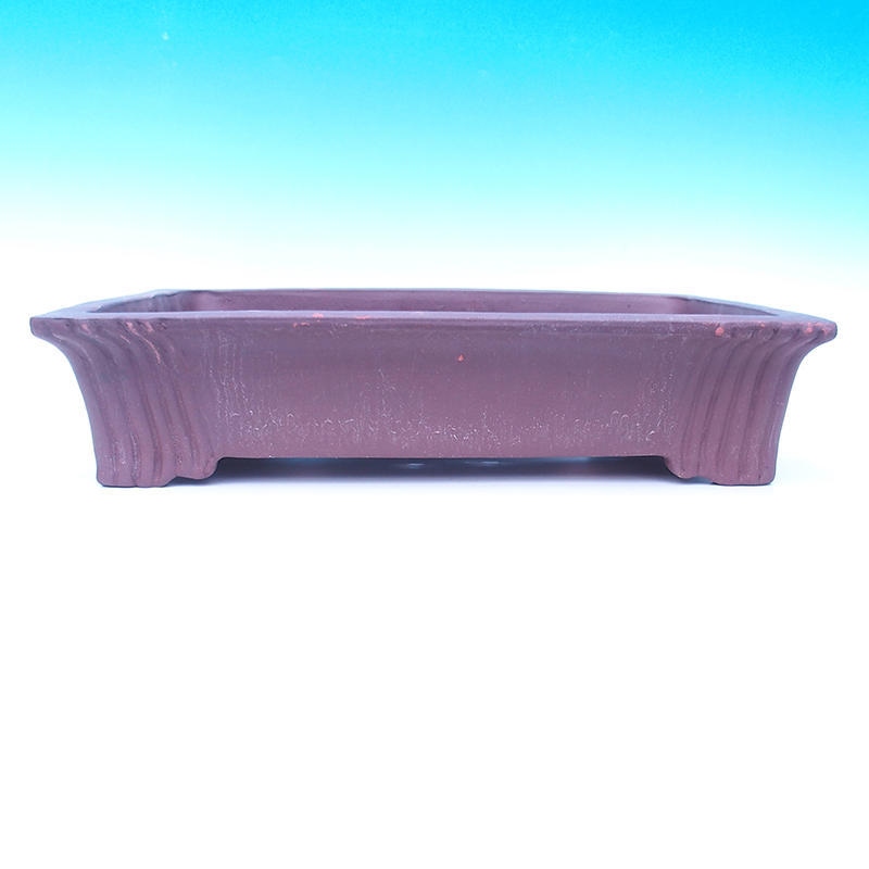 Bonsai tál 50 x 37 x 11 cm