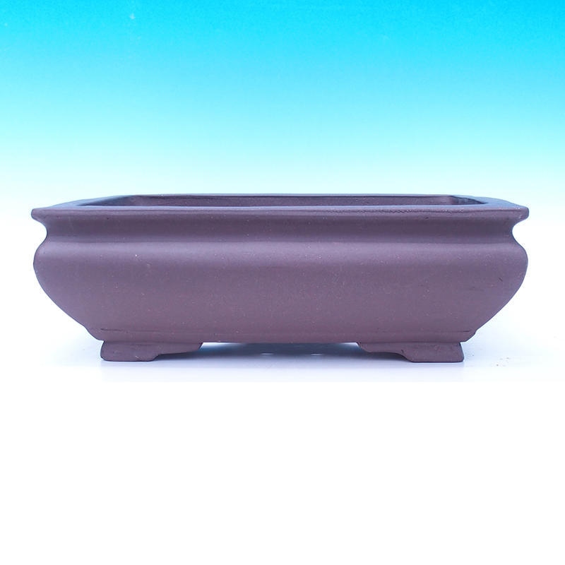 Bonsai tál 50 x 37 x 18 cm