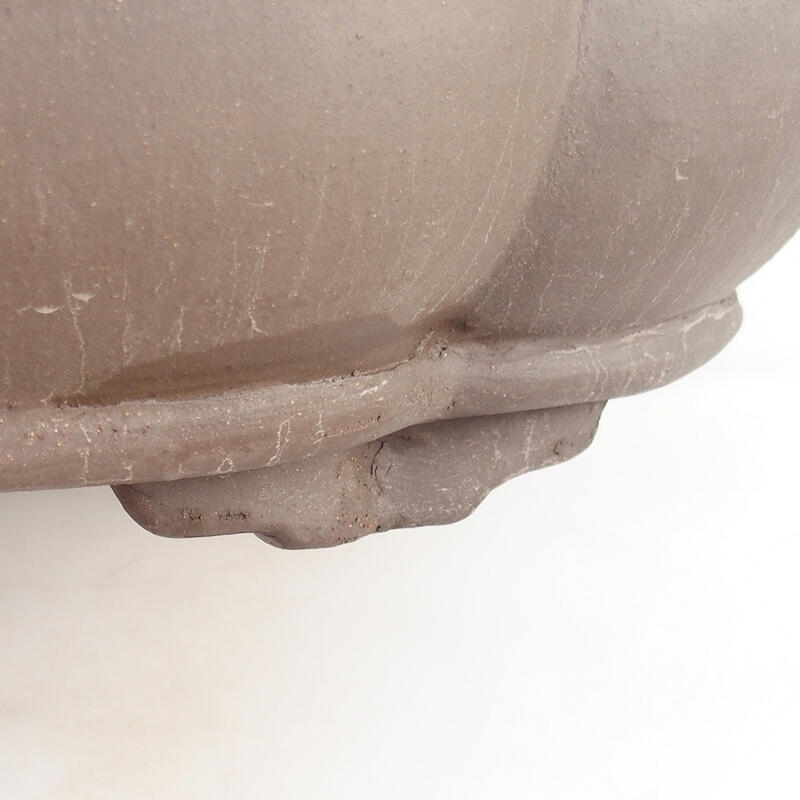 Bonsai tál 50 x 41 x 13 cm