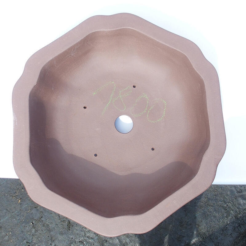 Bonsai tál 50 x 50 x 14 cm