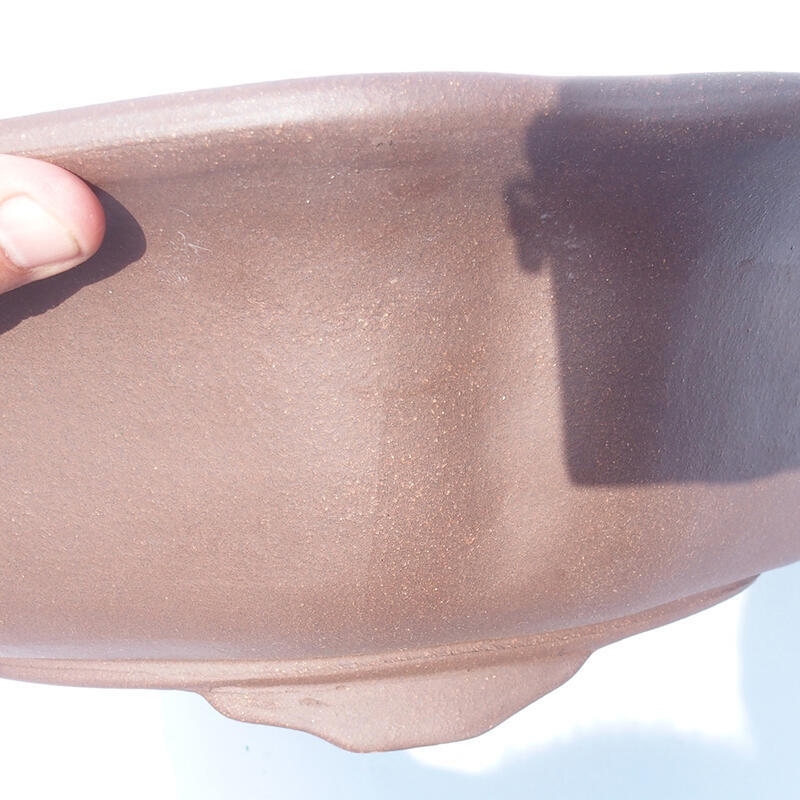 Bonsai tál 50 x 50 x 14 cm