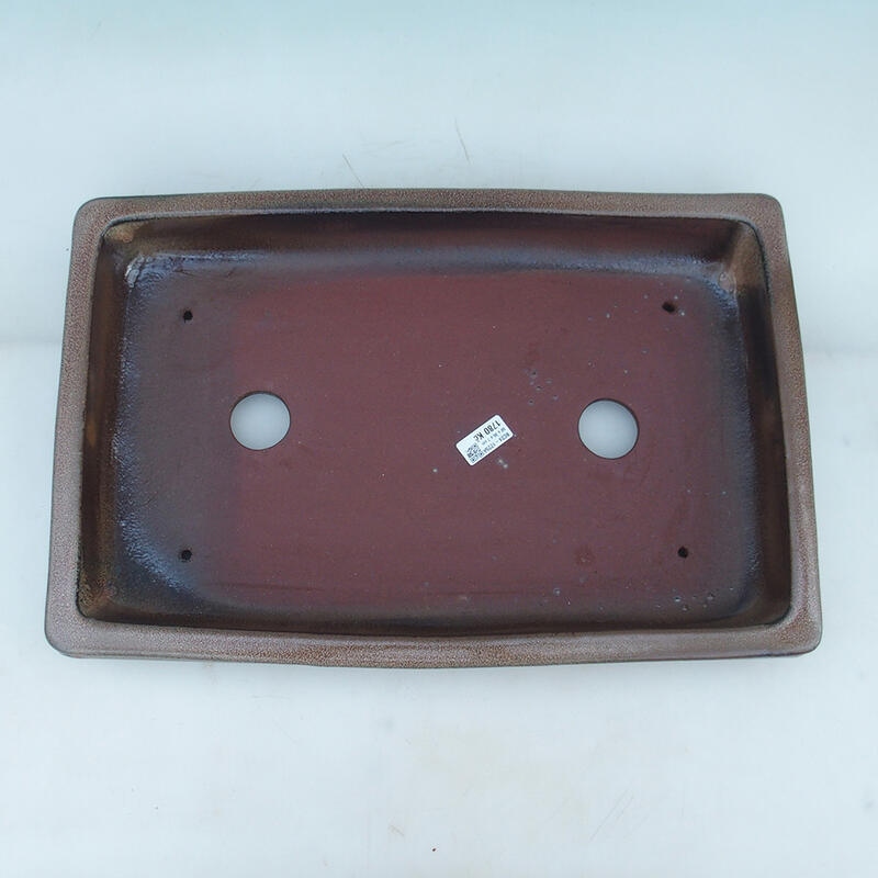 Bonsai tál 51 x 33,5 x 8,5 cm, barna színű - csak raklapos szállításra alkalmas