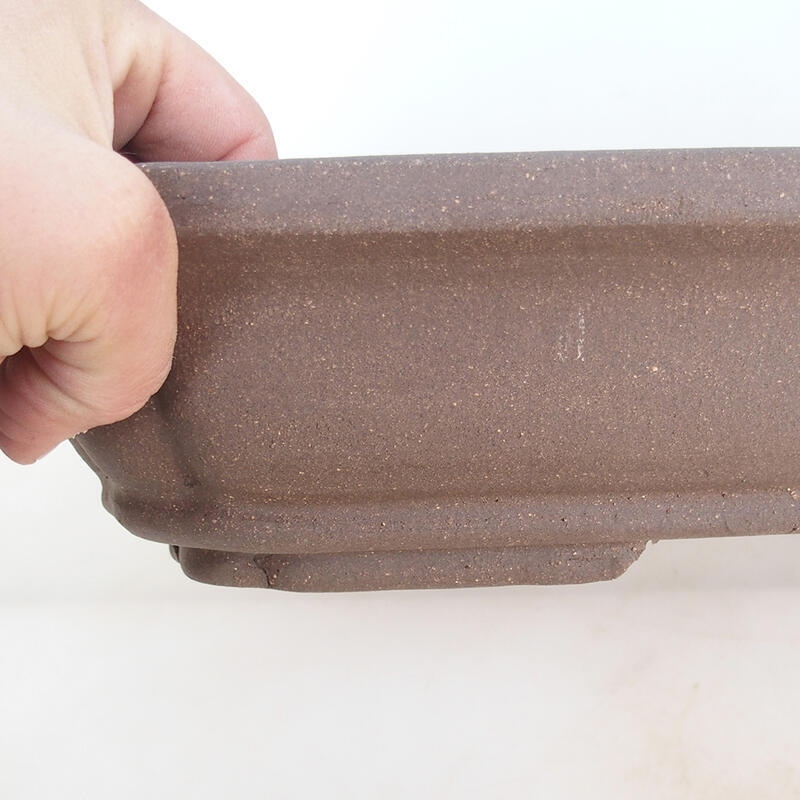 Bonsai tál 51 x 33,5 x 8 cm, natúr színben