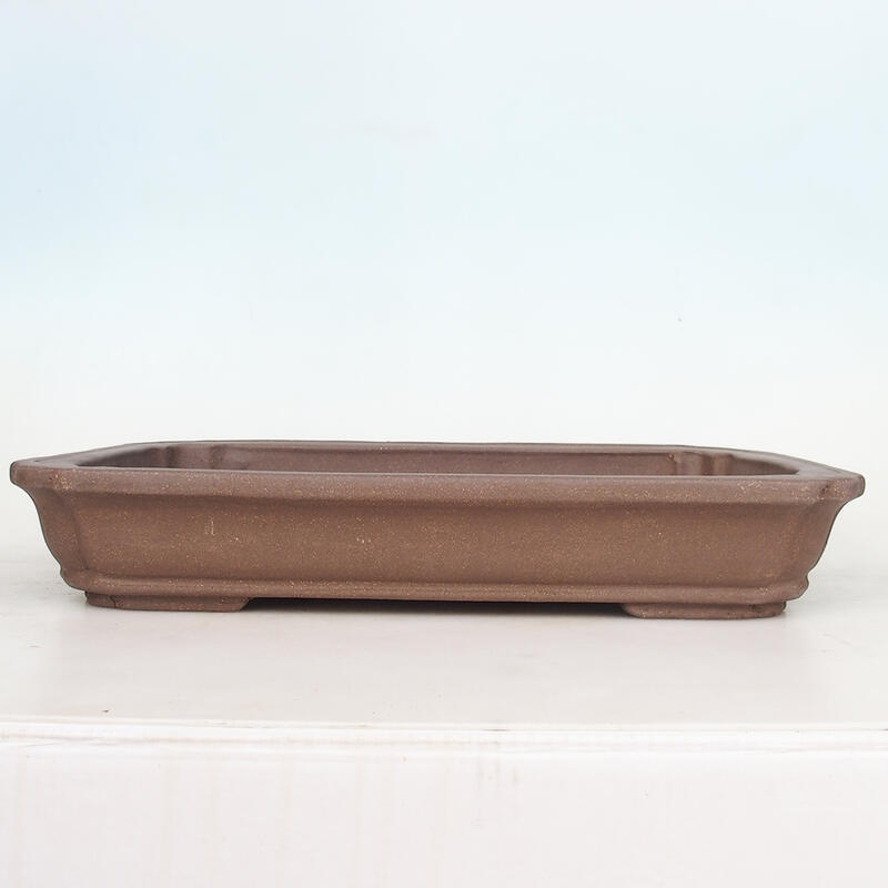 Bonsai tál 51 x 33,5 x 8 cm, natúr színben