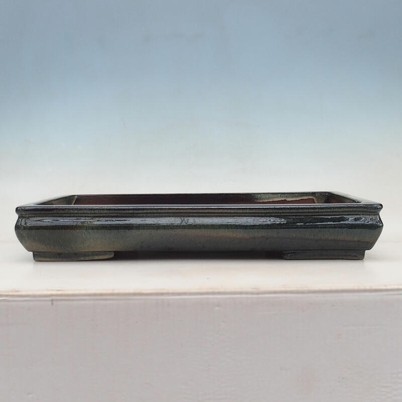 Bonsai tál 51 x 33 x 8 cm, kék-zöld - csak raklapos szállításhoz