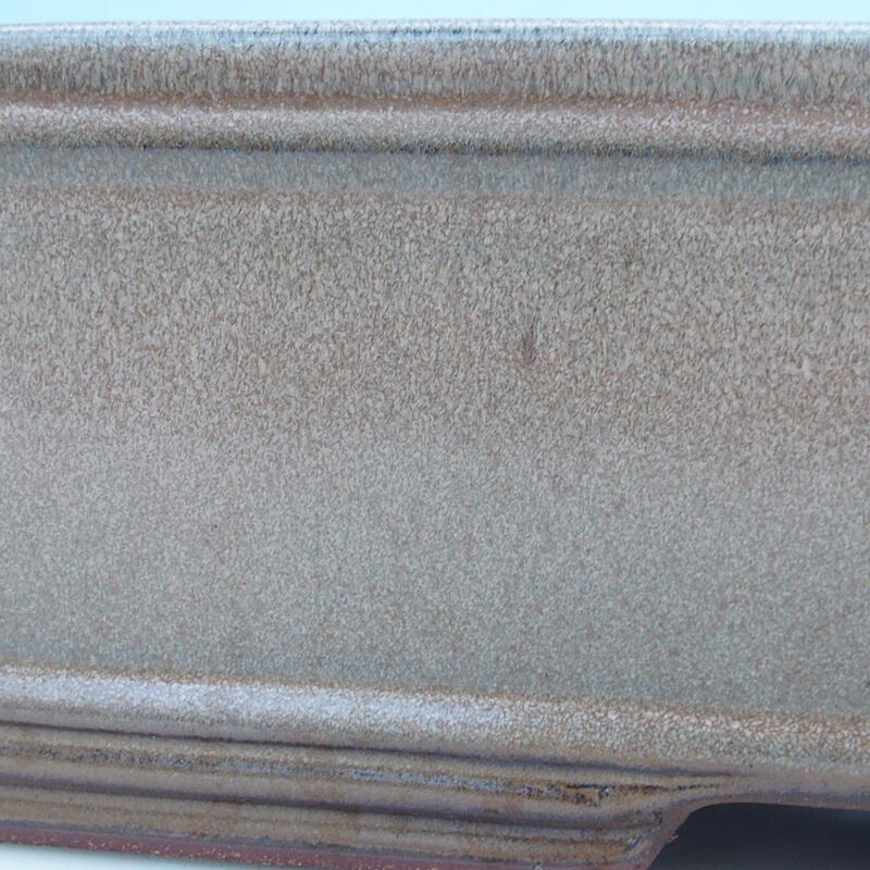 Bonsai tál 51 x 34 x 10,5 cm, bézs színű - csak raklapos szállításra alkalmas