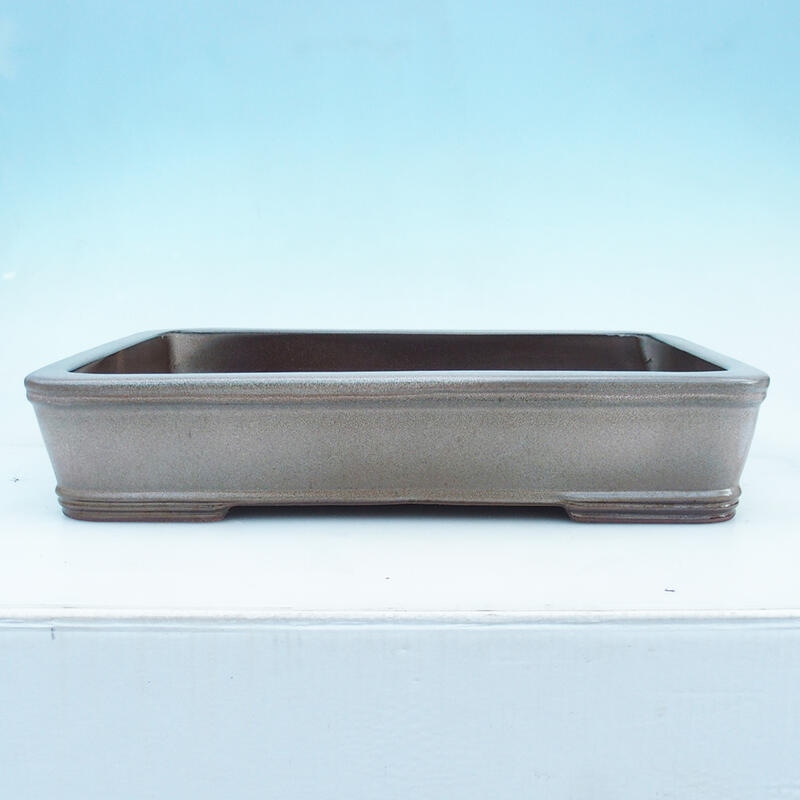 Bonsai tál 51 x 34 x 10,5 cm, bézs színű - csak raklapos szállításra alkalmas