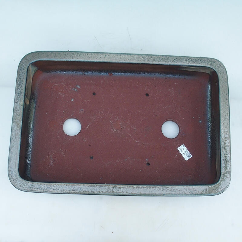 Bonsai tál 51 x 34 x 10,5 cm, bézs-zöld - csak raklapon szállítható