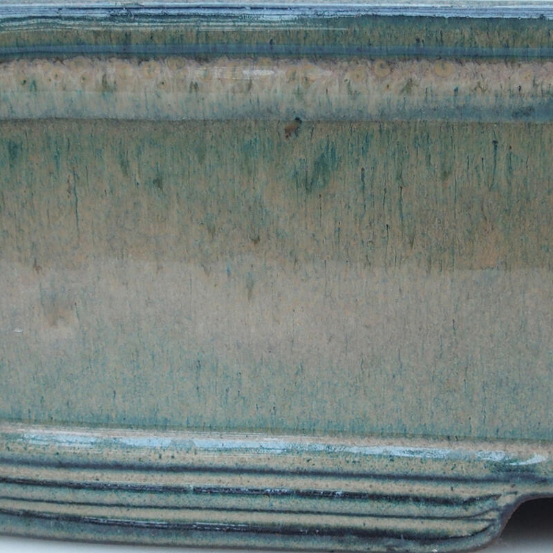 Bonsai tál 51 x 34 x 10,5 cm, bézs-zöld - csak raklapon szállítható