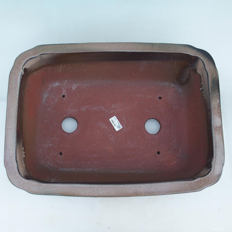 Bonsai tál 51 x 35,5 x 16 cm, barna színű - csak raklapos szállításra - raklapos szállításra