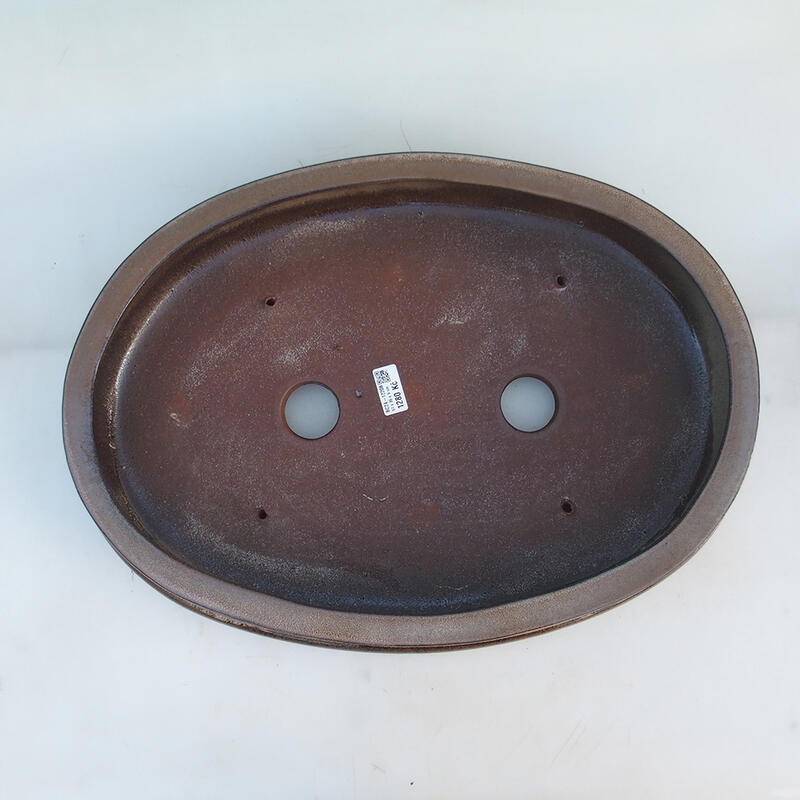 Bonsai tál 51 x 36,5 x 10 cm, barna színű - csak raklapos szállításra - raklapos szállításra