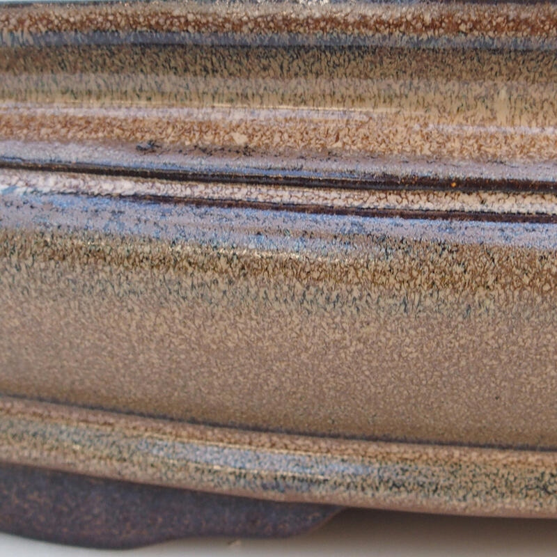 Bonsai tál 51 x 36,5 x 10 cm, barna színű - csak raklapos szállításra - raklapos szállításra