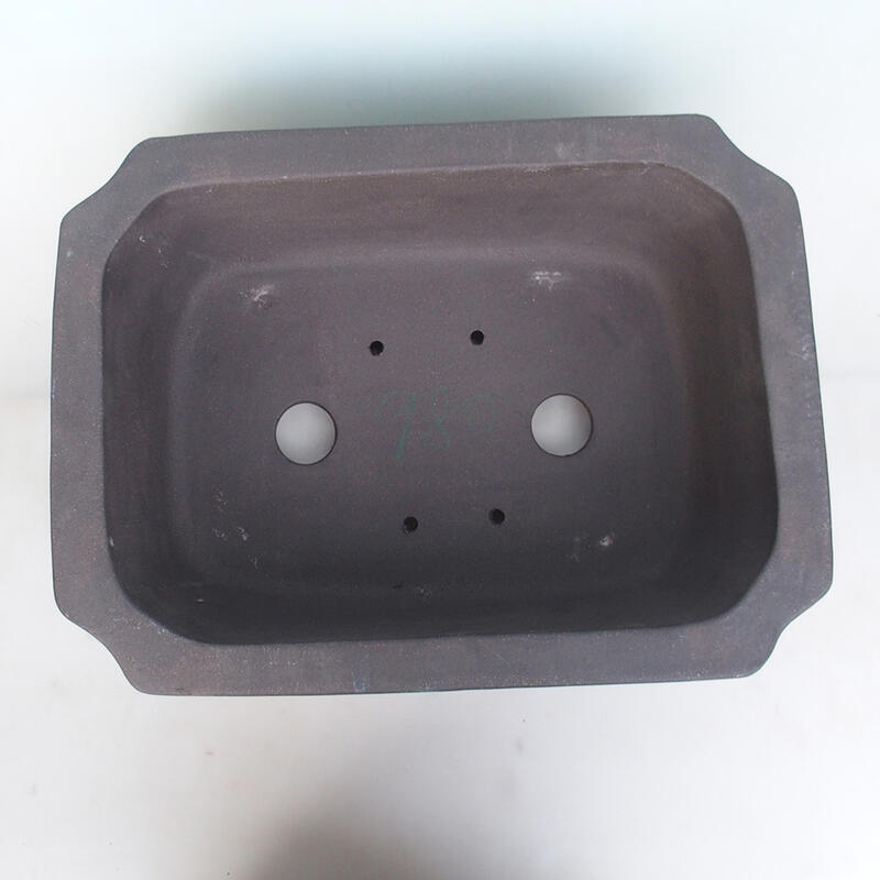 Bonsai tál 51 x 38 x 15 cm, natúr színben