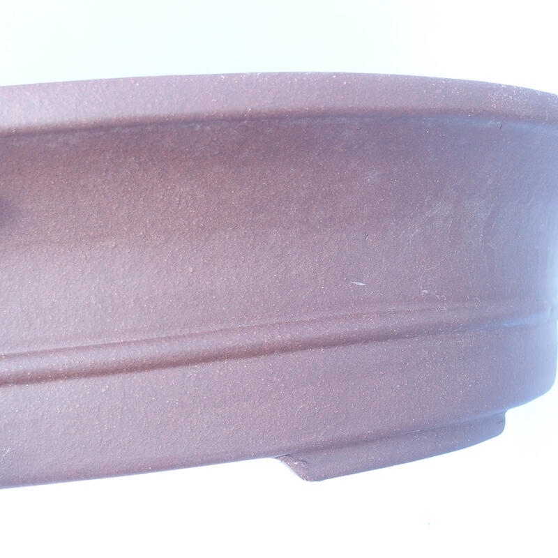 Bonsai tál 51 x 42 x 12 cm