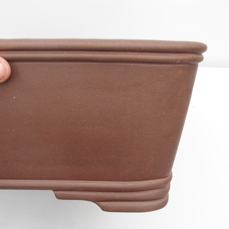 Bonsai tál 52 x 16 x 19 cm - japán minőségben