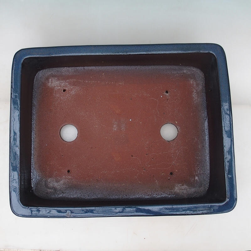 Bonsai tál 52 x 41 x 15 cm, kék színű - csak raklapos szállításra