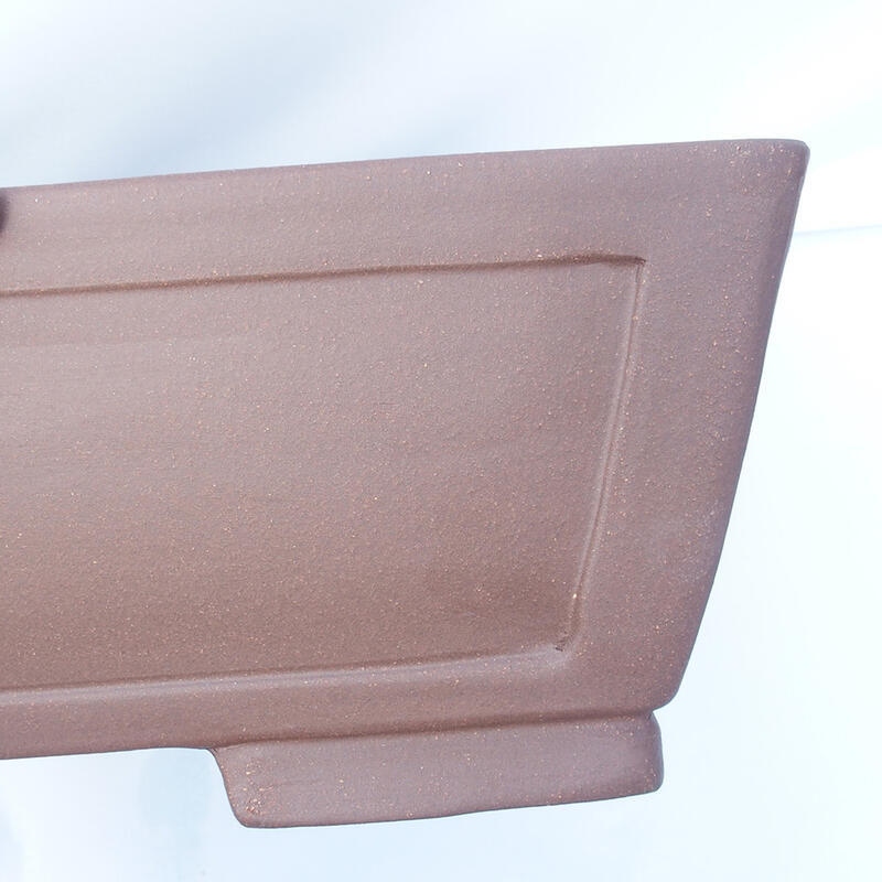 Bonsai tál 54 x 40 x 14 cm