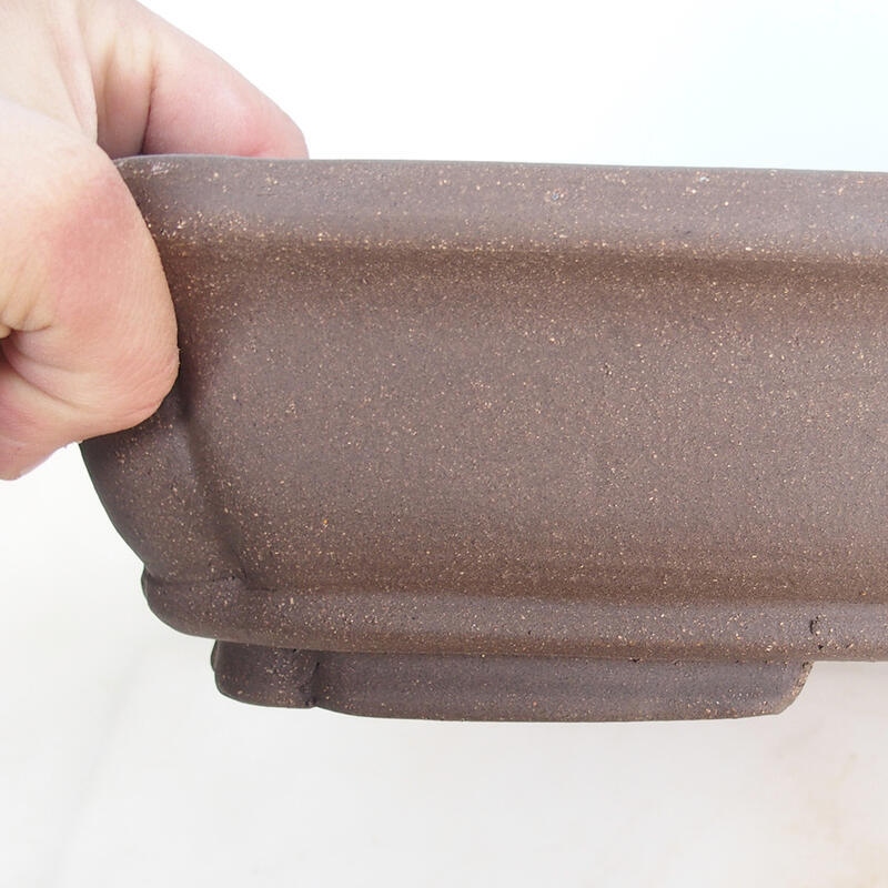 Bonsai tál 60 x 42 x 8,5 cm, natúr színben