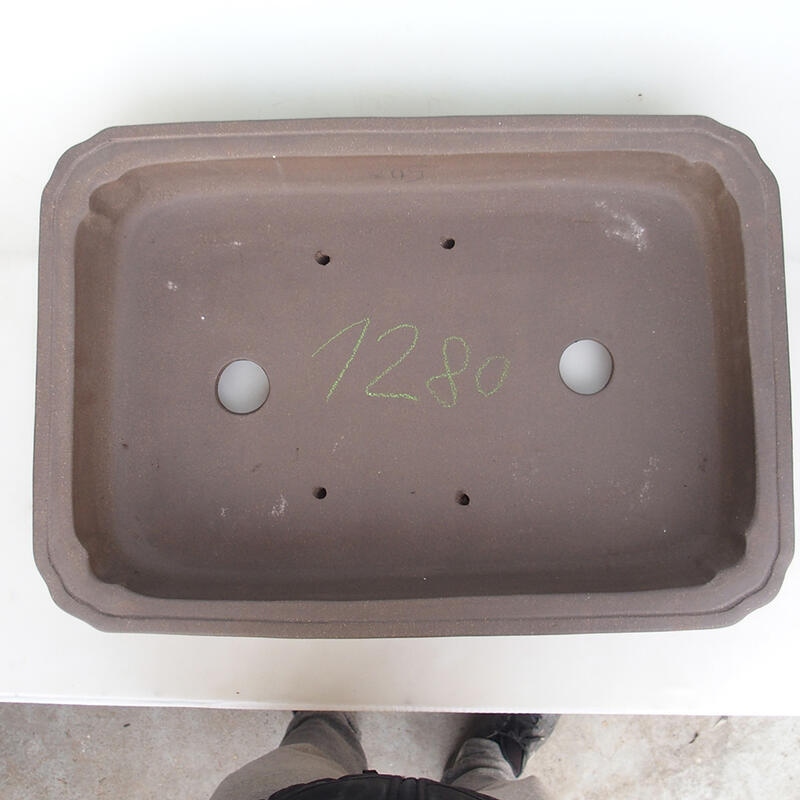 Bonsai tál 60 x 42 x 8,5 cm, natúr színben