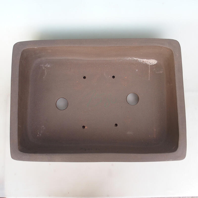 Bonsai tál 60 x 43 x 13 cm, natúr színben