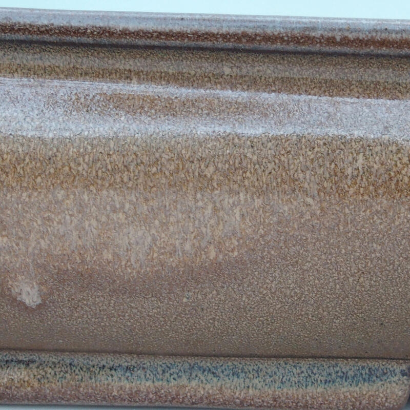 Bonsai tál 61 x 41 x 11 cm, barna - csak raklapon szállítható