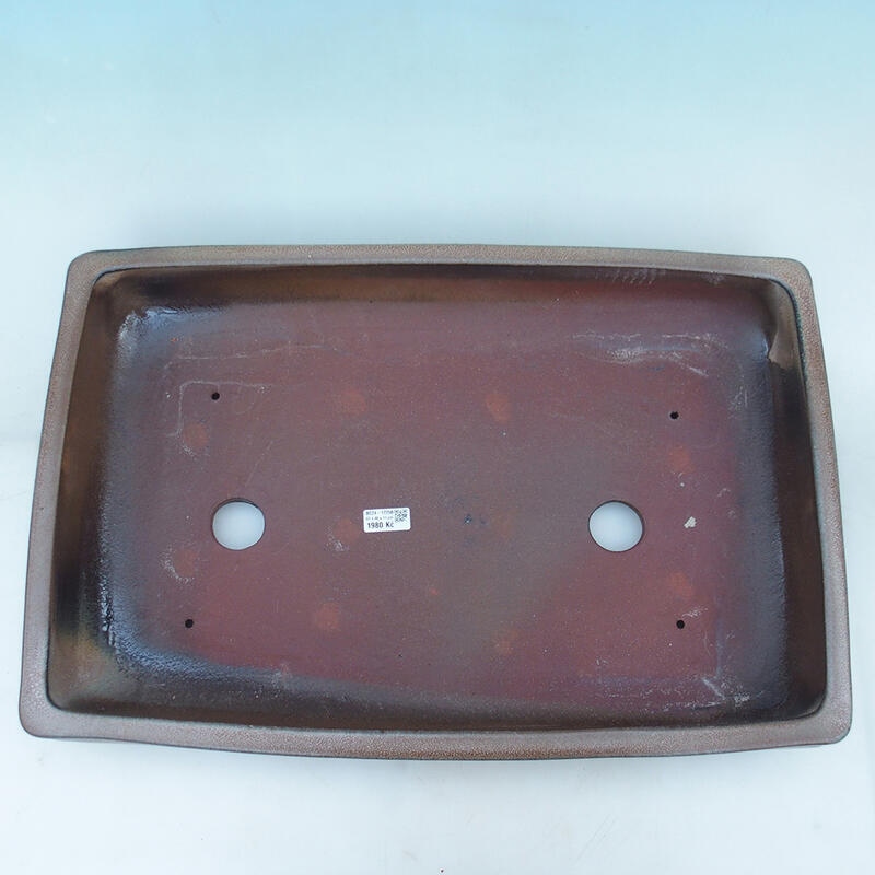 Bonsai tál 61 x 41 x 11 cm, barna - csak raklapon szállítható