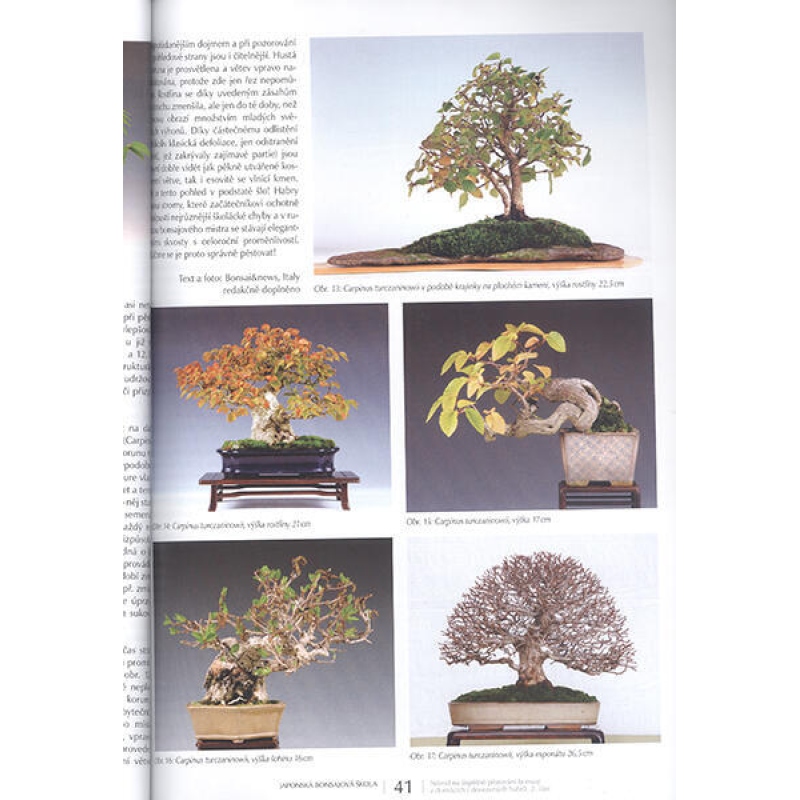 Bonsai és japán kertek 63. sz.