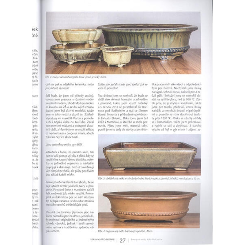 Bonsai és japán kertek 63. sz.