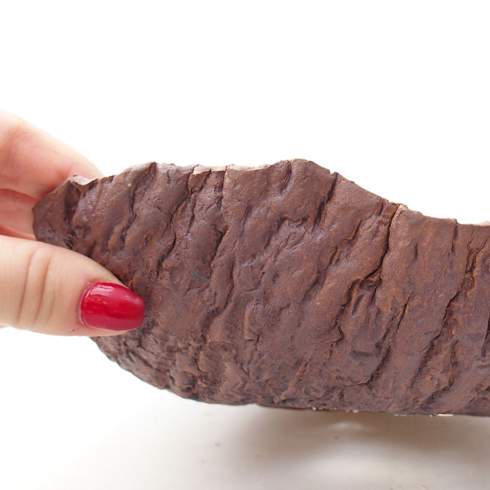 Kerámia kagyló 19 x 18 x 5,5 cm , barna színű