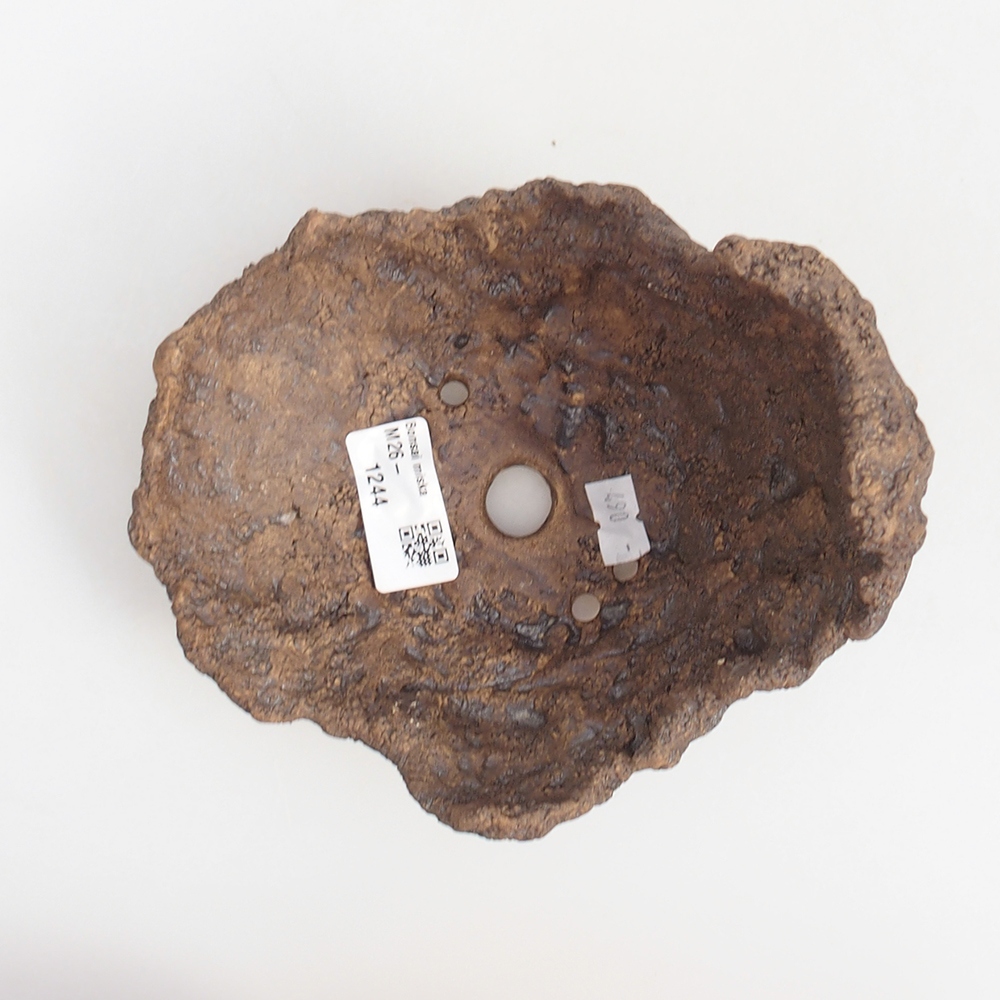 Kerámia kagyló 14,5 x 13 x 13 cm , színe barna