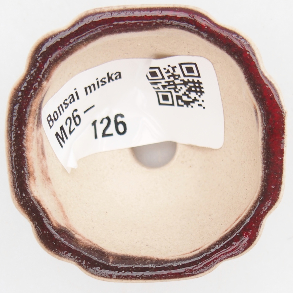 Mini bonsai tál 4,5 x 4,5 x 2,5 cm, piros színben