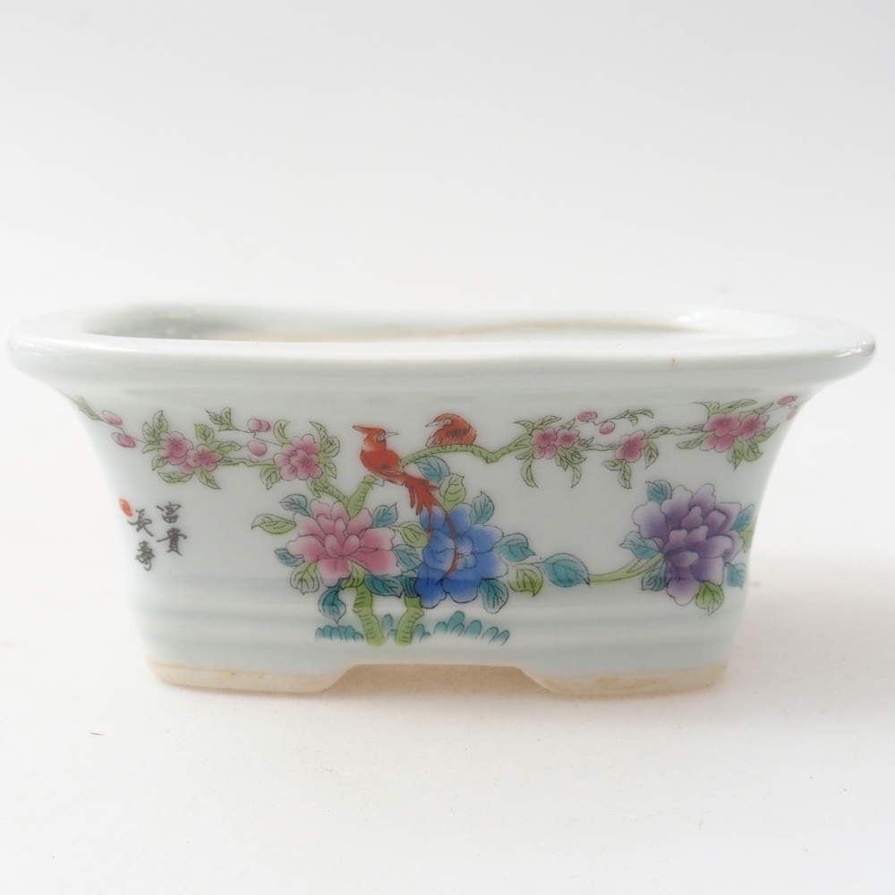 Mini bonsai tál 10 x 7,5 x 4 cm, fehér színben